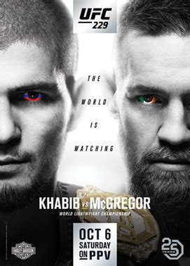 bet365 ufc 229